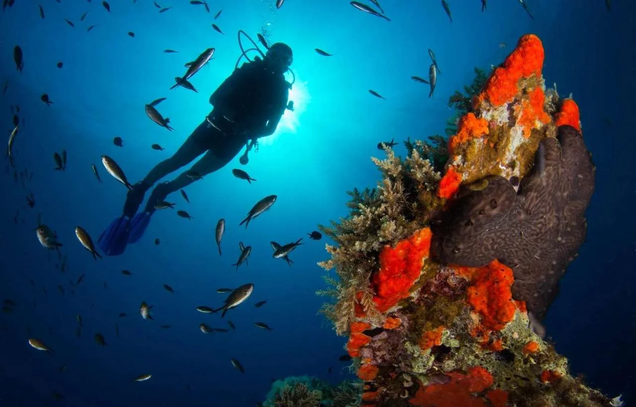 Scuba diving for beginners in crystal clear sea of Halkidiki