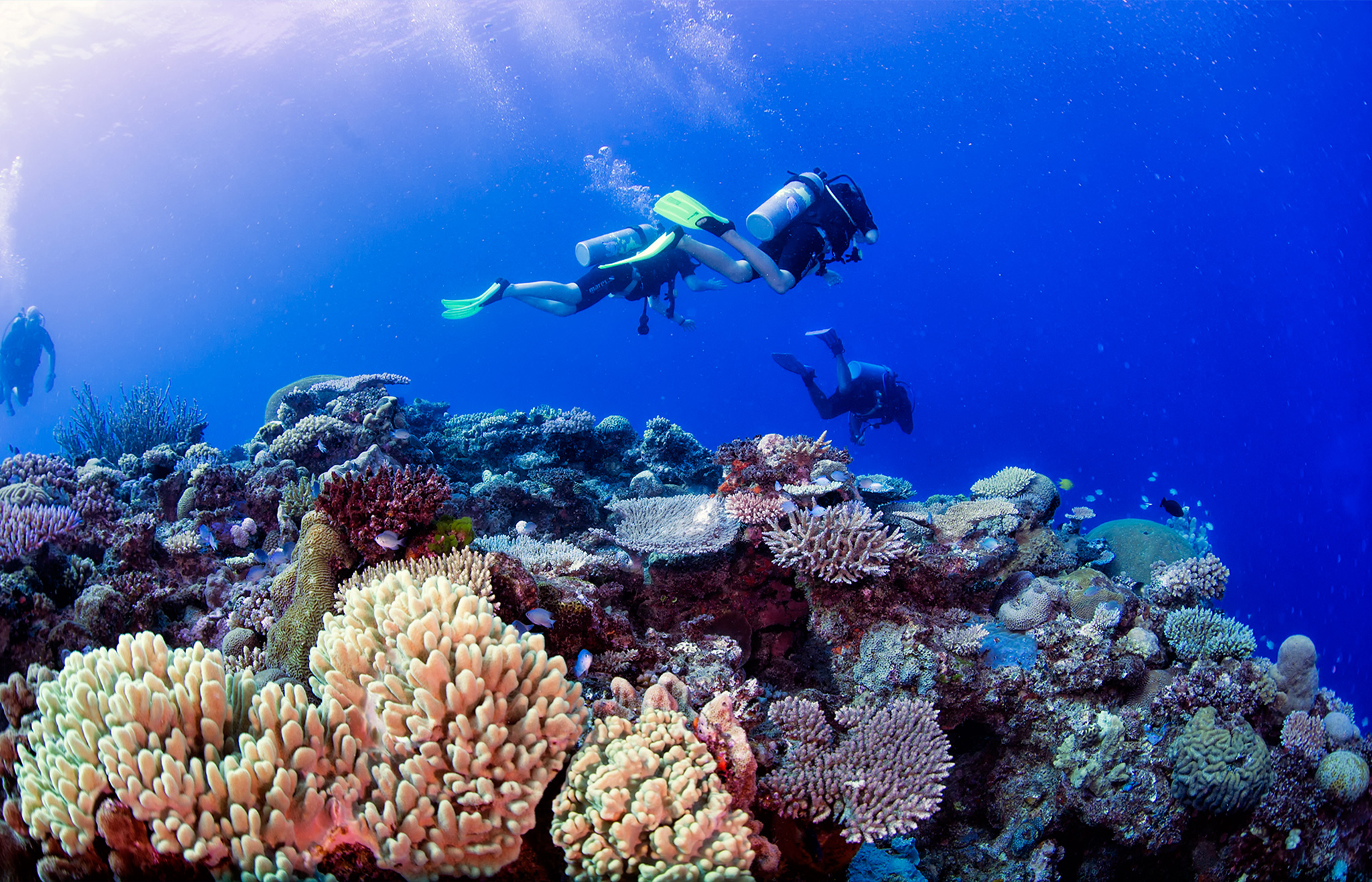 Mantaray Dive LTD