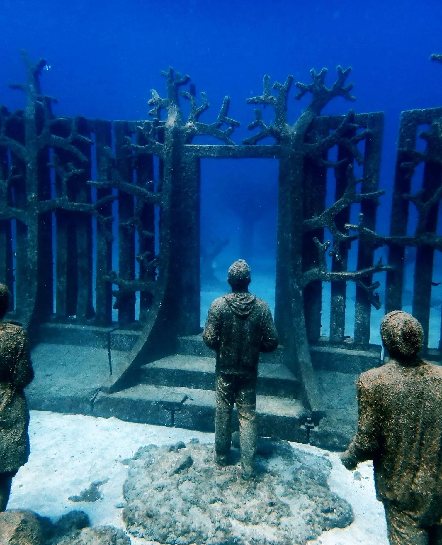 1 boat dive at Museo Atlantico for qualified divers