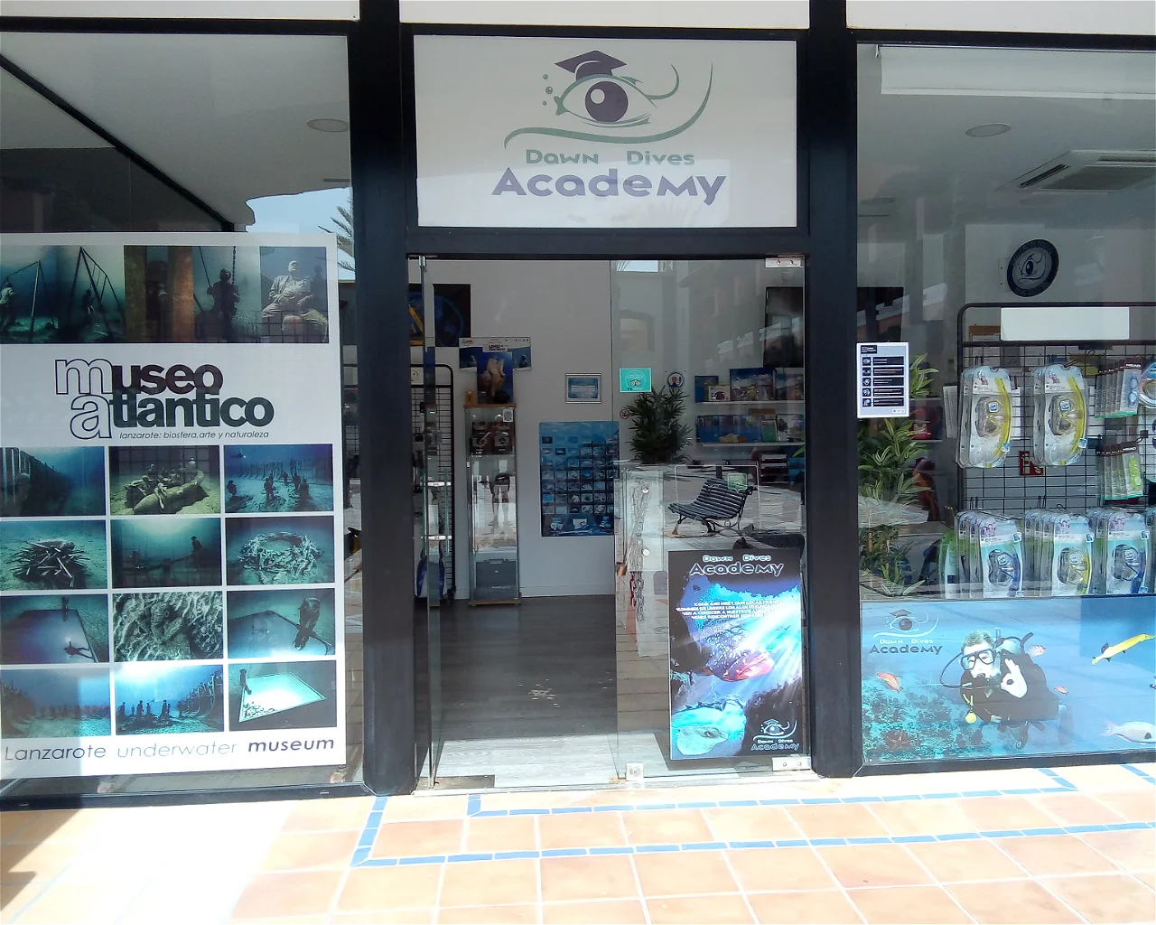 Dawn Dives Academy