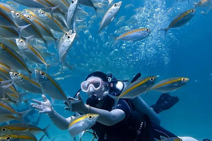 Full Day Scuba Diving At Racha Yai - For Everyone!