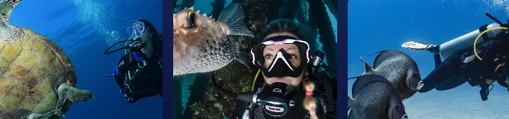 Doctor Dive
