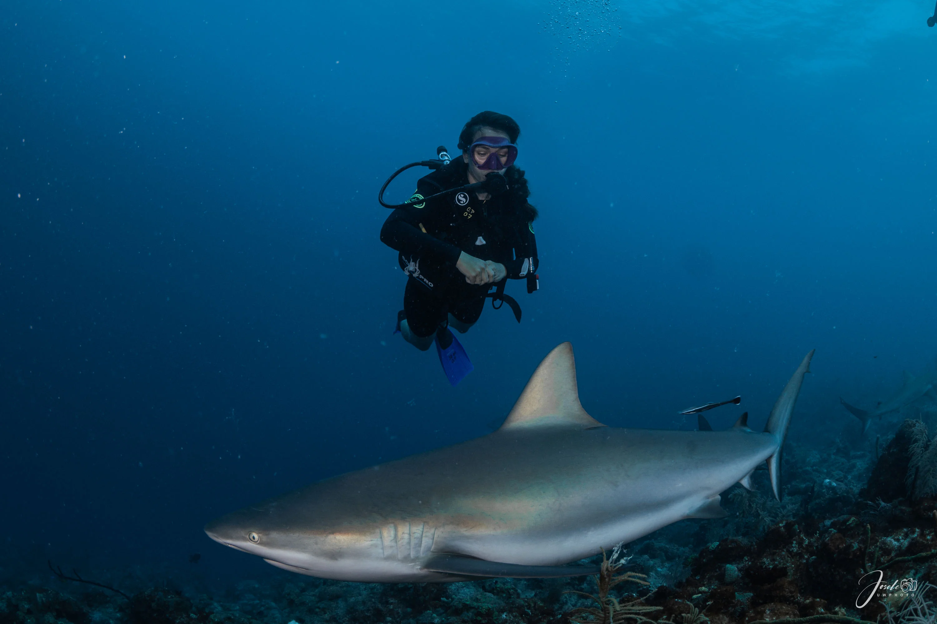 Fun Dive