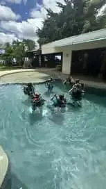 Discover Scuba Diving Experience