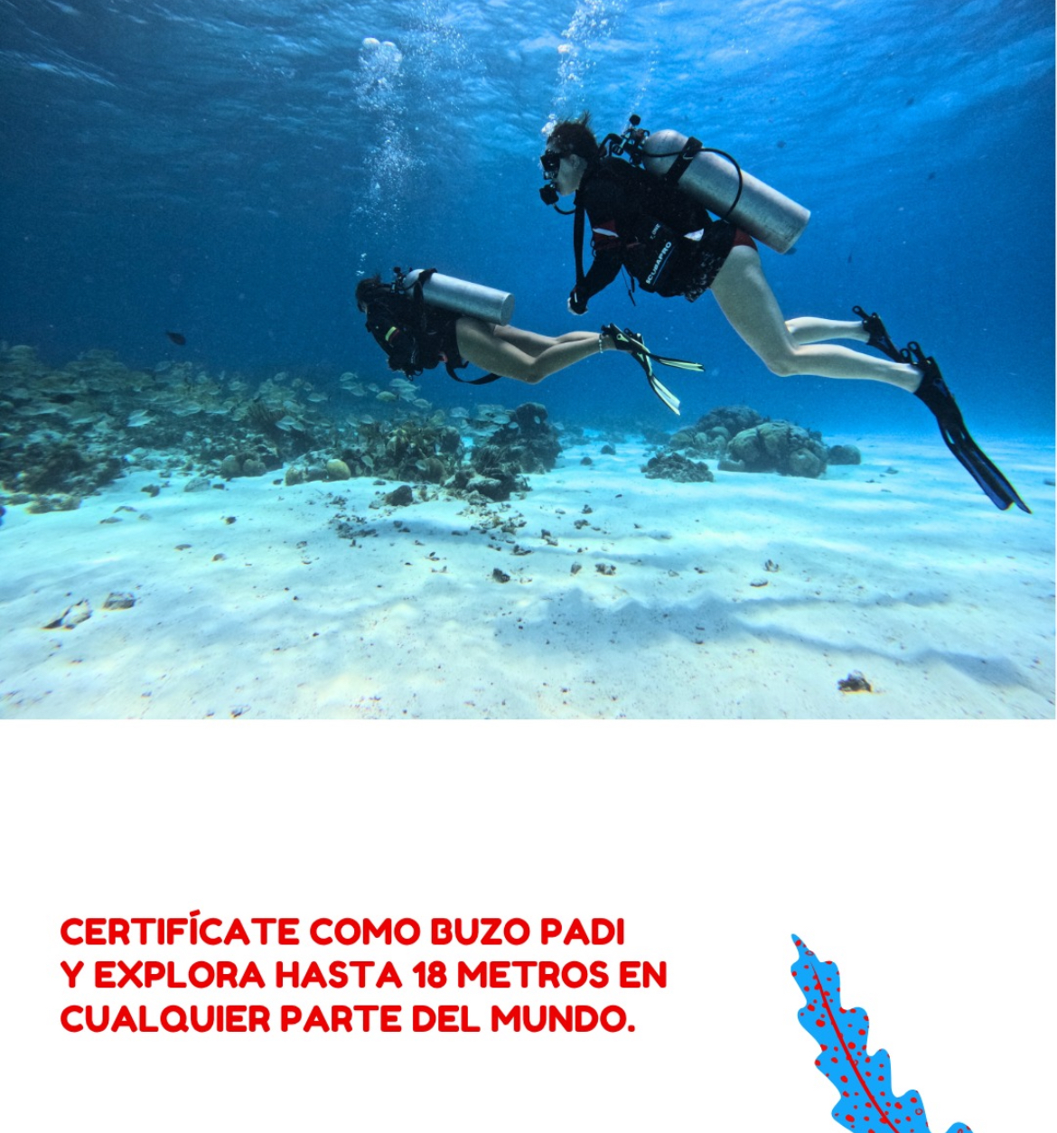 Open Water