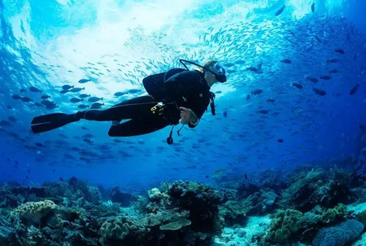 Fun Dive 1