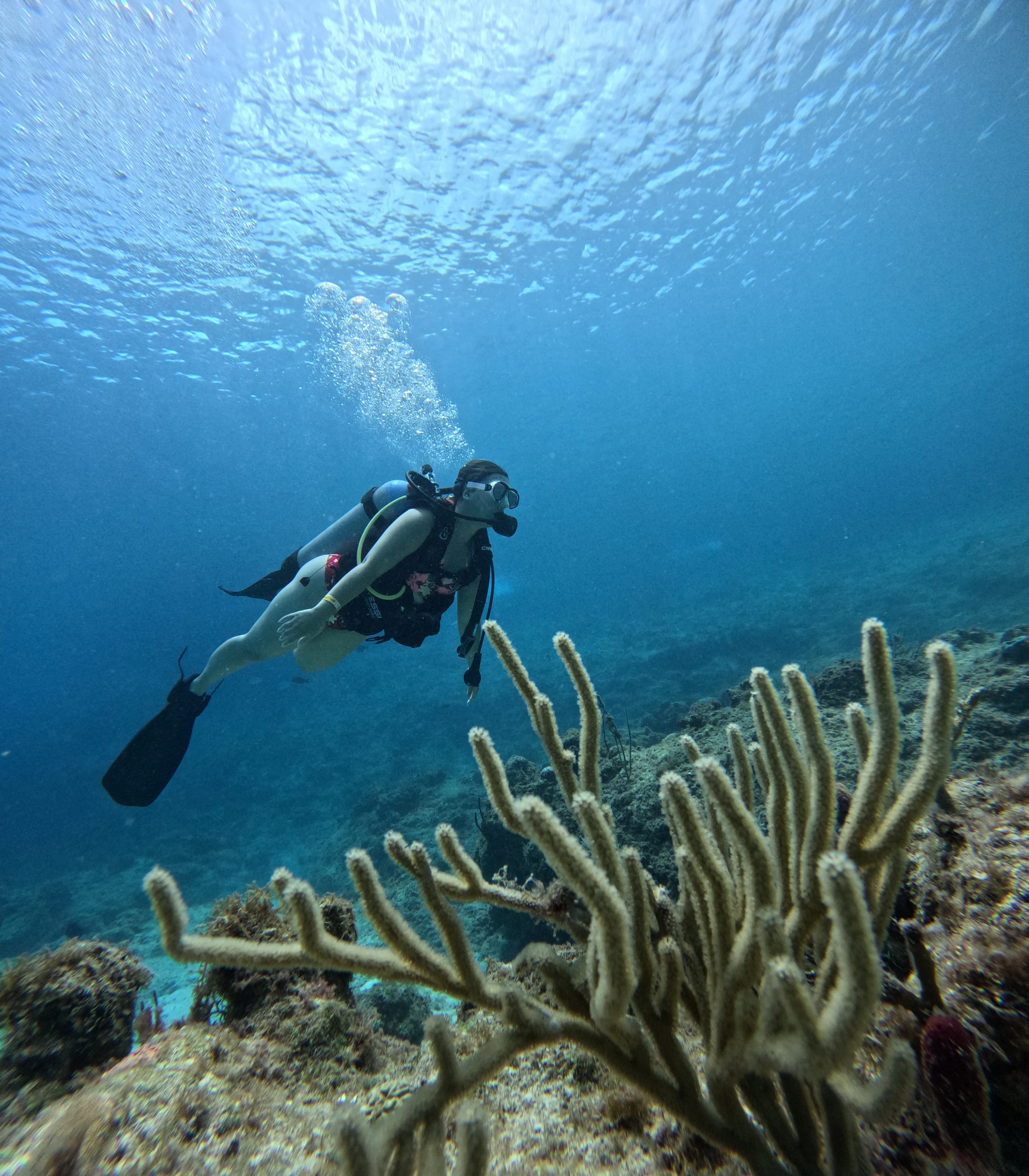 Diving company