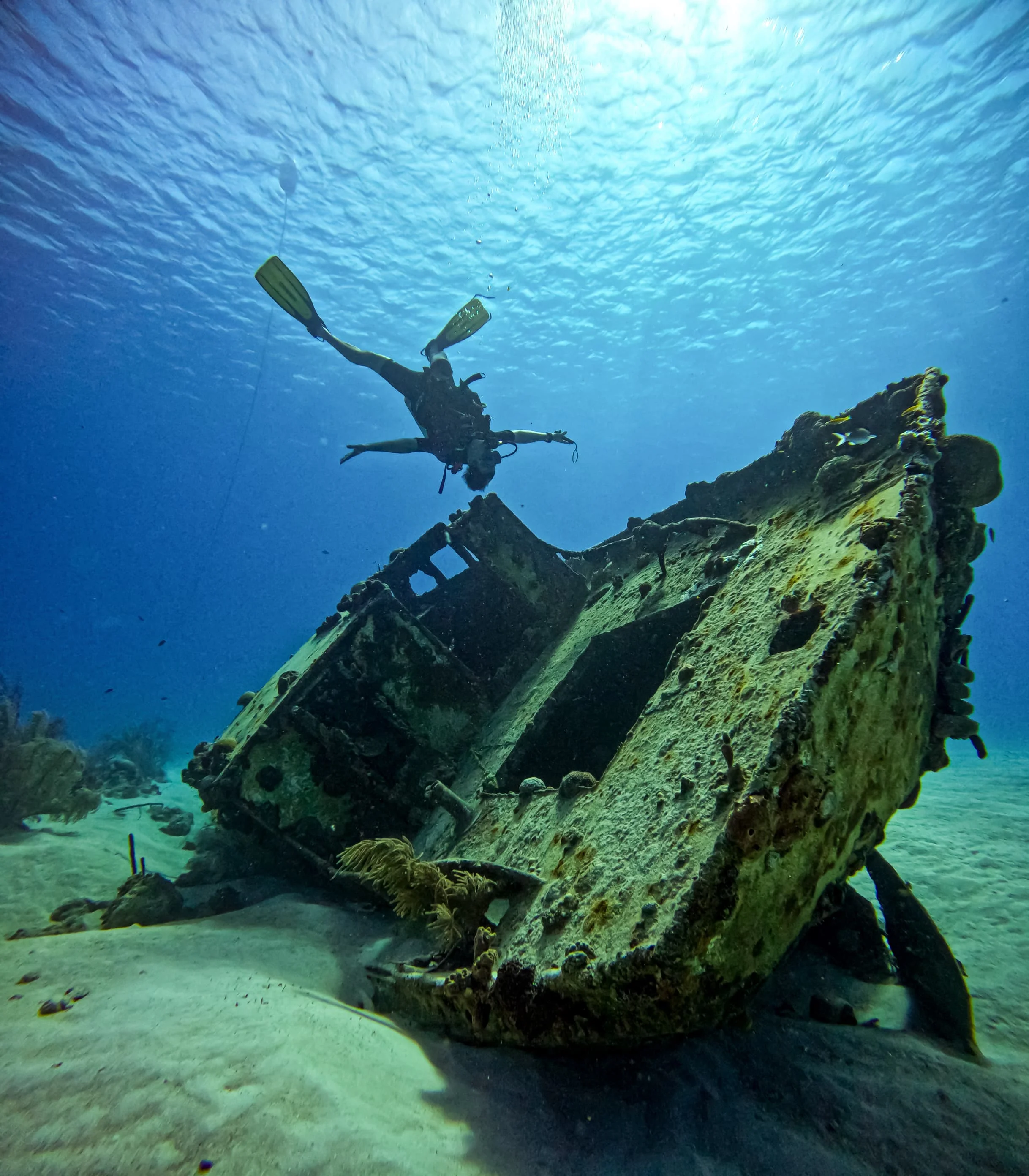 PADI Open Water Course in San Andres