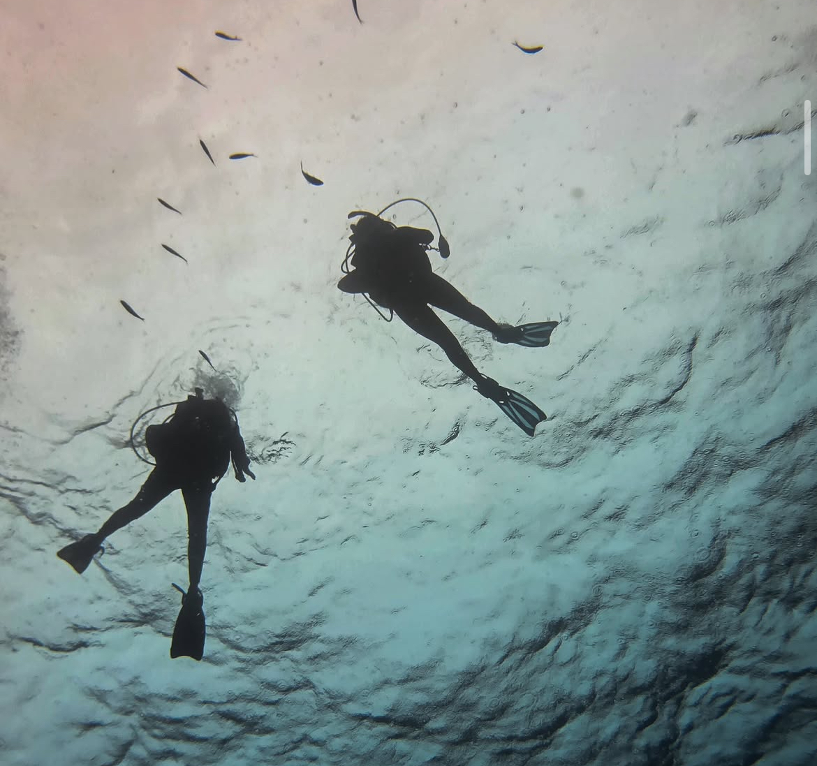 Open Water