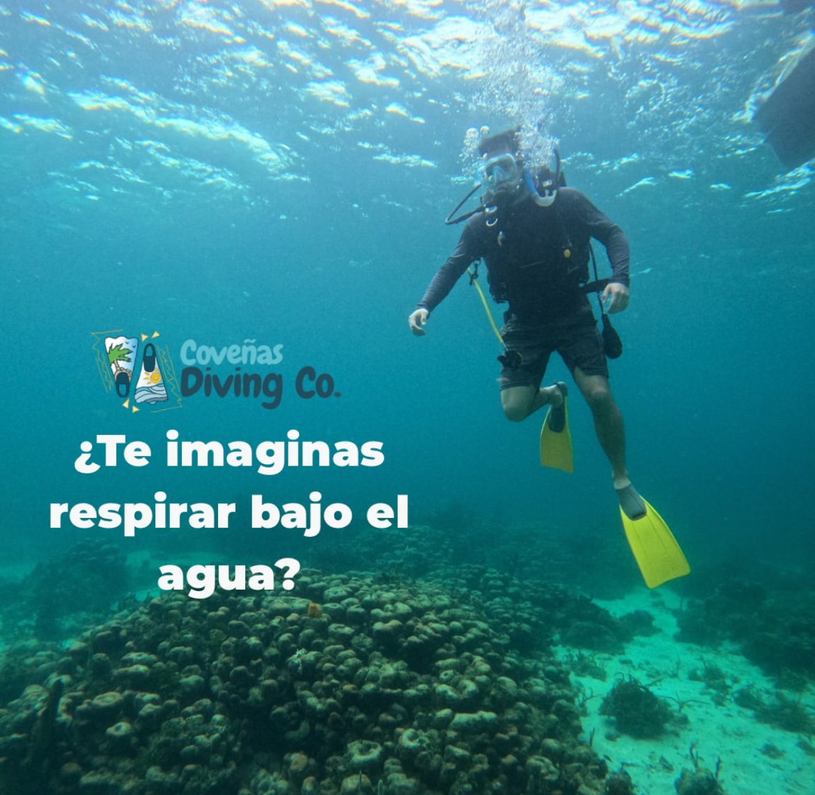 Mini curso