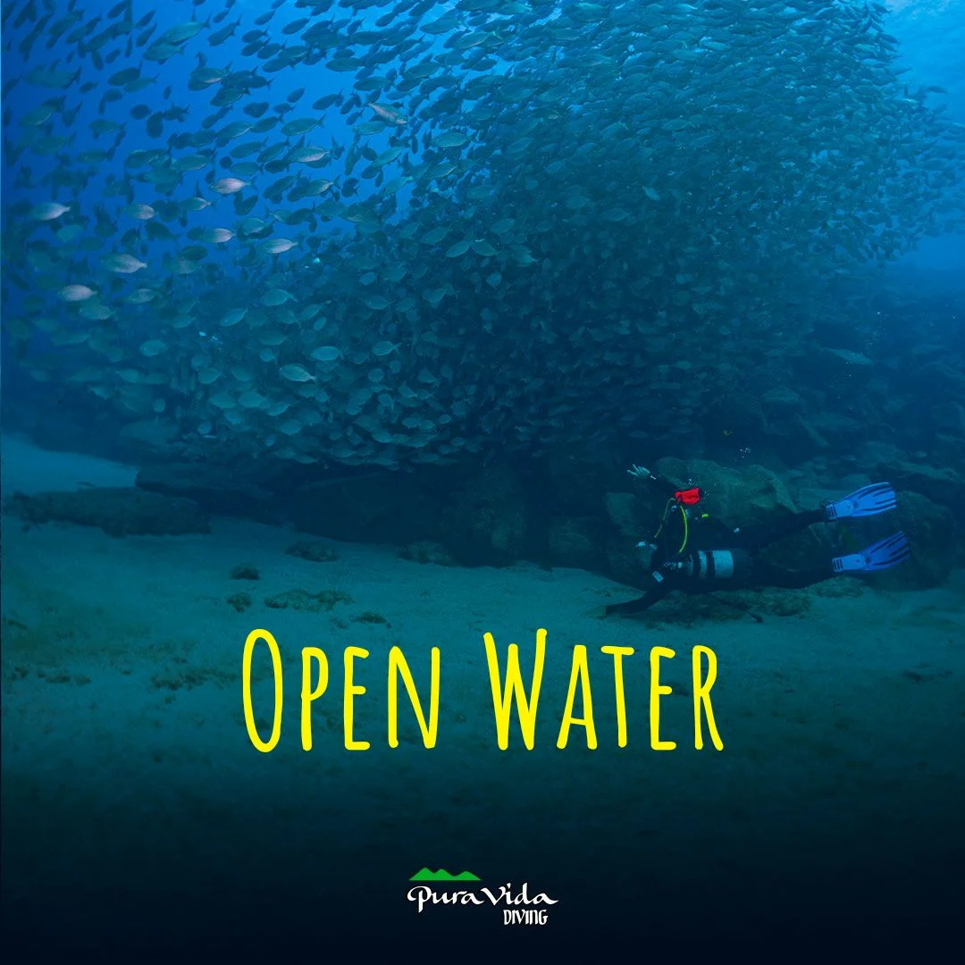Open Water Diver