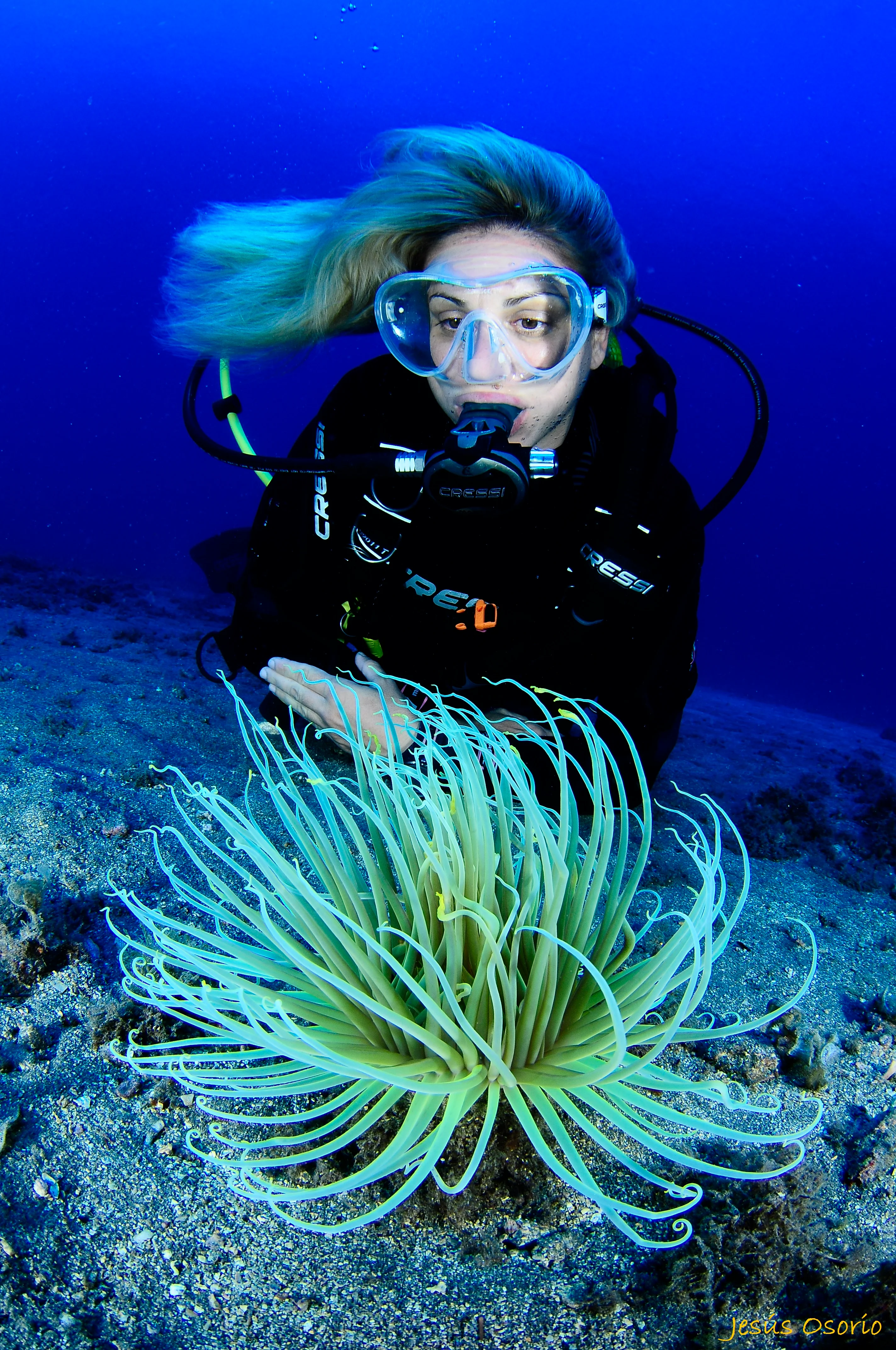 Bautismo de Buceo PADI Discover Scuba Diver