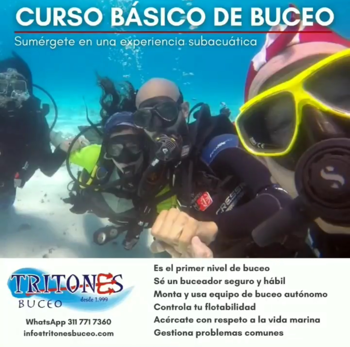 Mini Curso