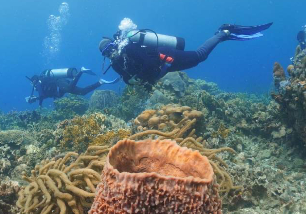 FUN DIVES FOR CERTIFIED DIVERS