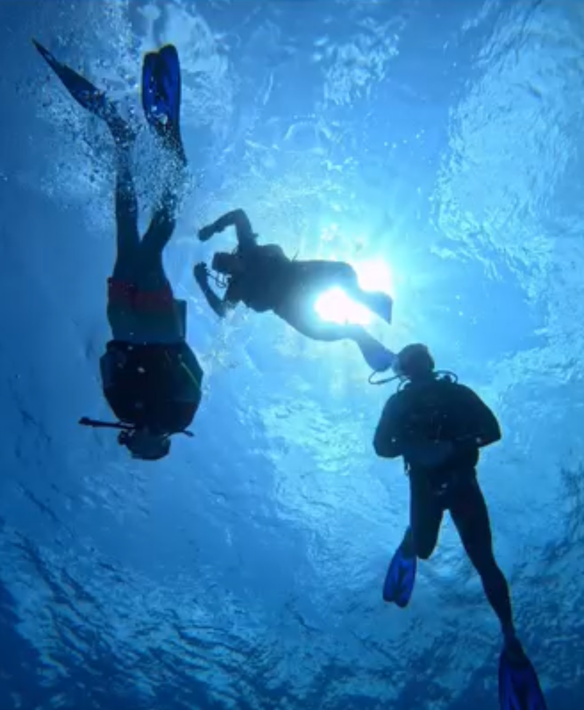 SSI Basic Diver