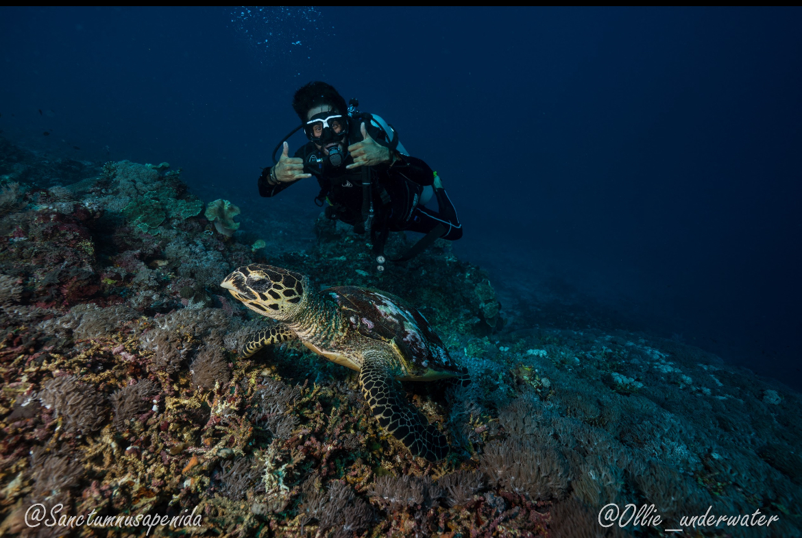 Open Water