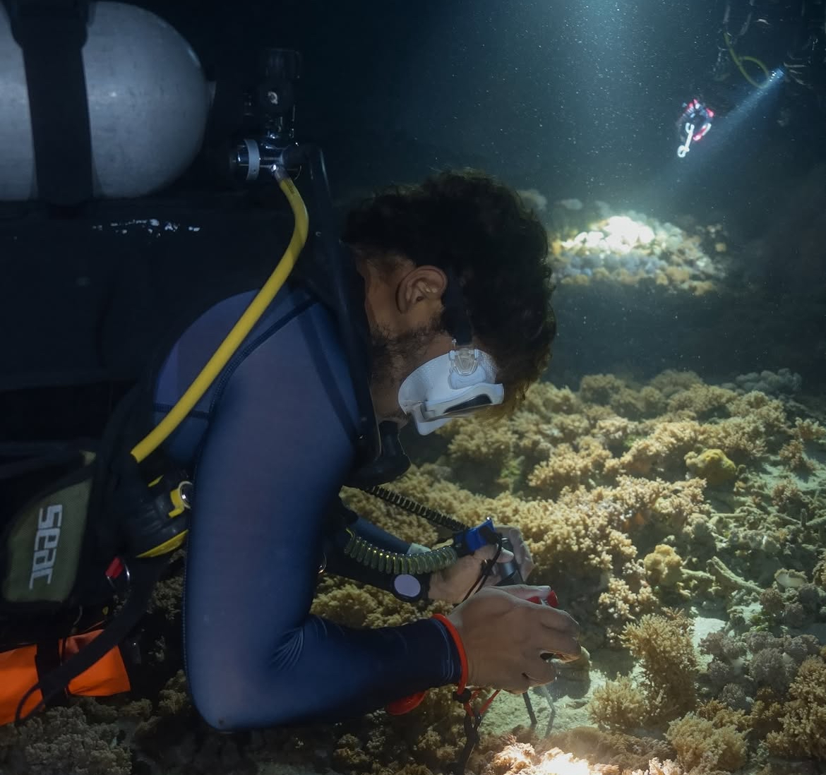 Night Dive