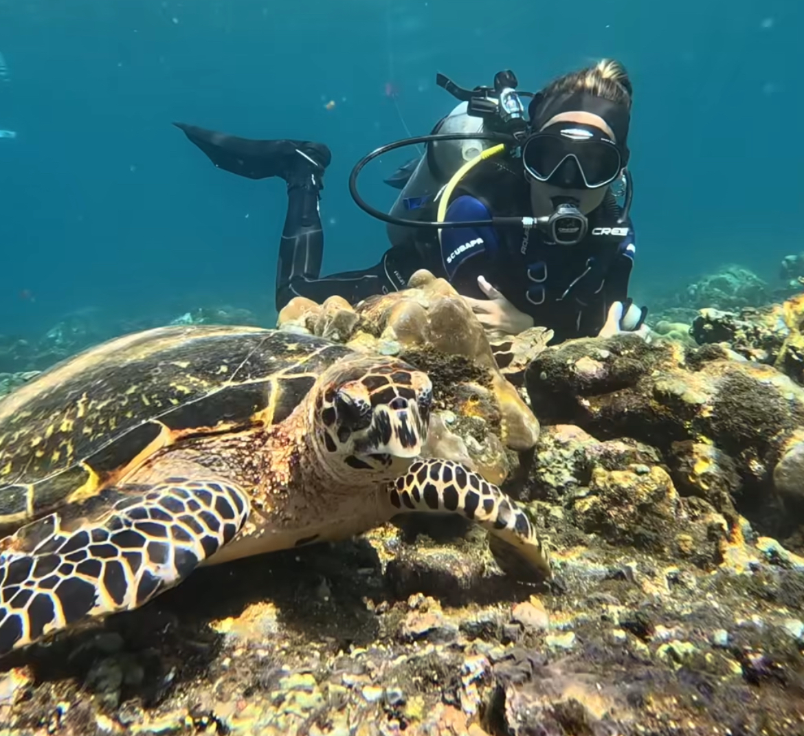 Try Scuba Diving