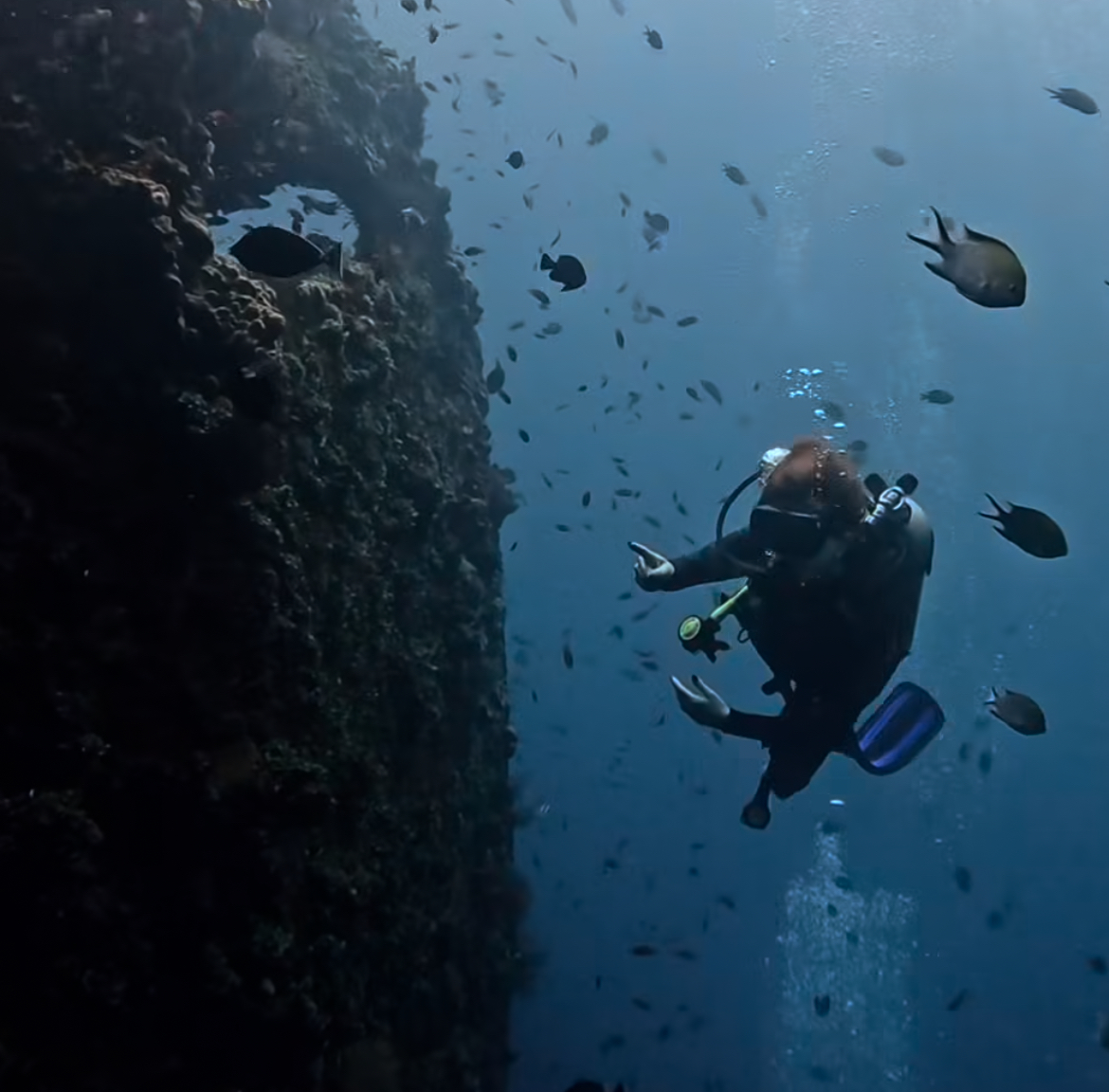 Buceo en Amed, Bali​