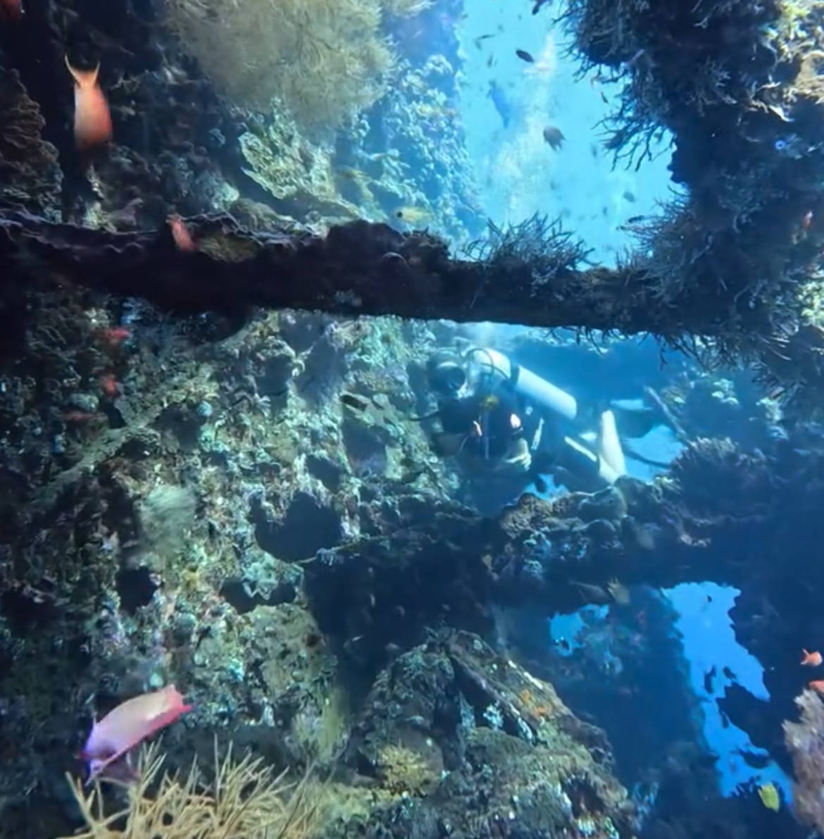 Open Water