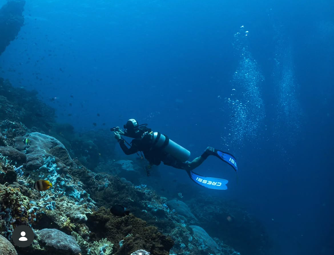 FUN DIVE