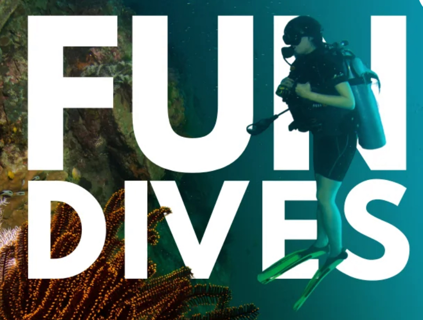 Fun Dive - 4 Dives