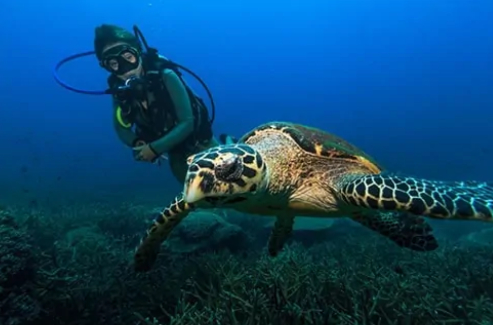 SSI Open Water Diver