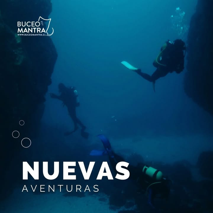 RESCUE DIVER PADI