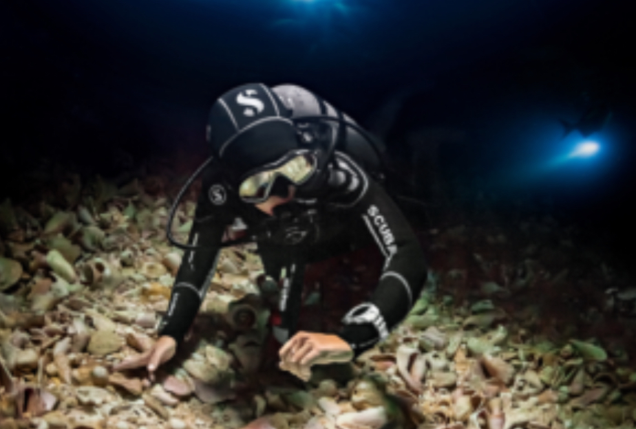 Buceo Nocturno