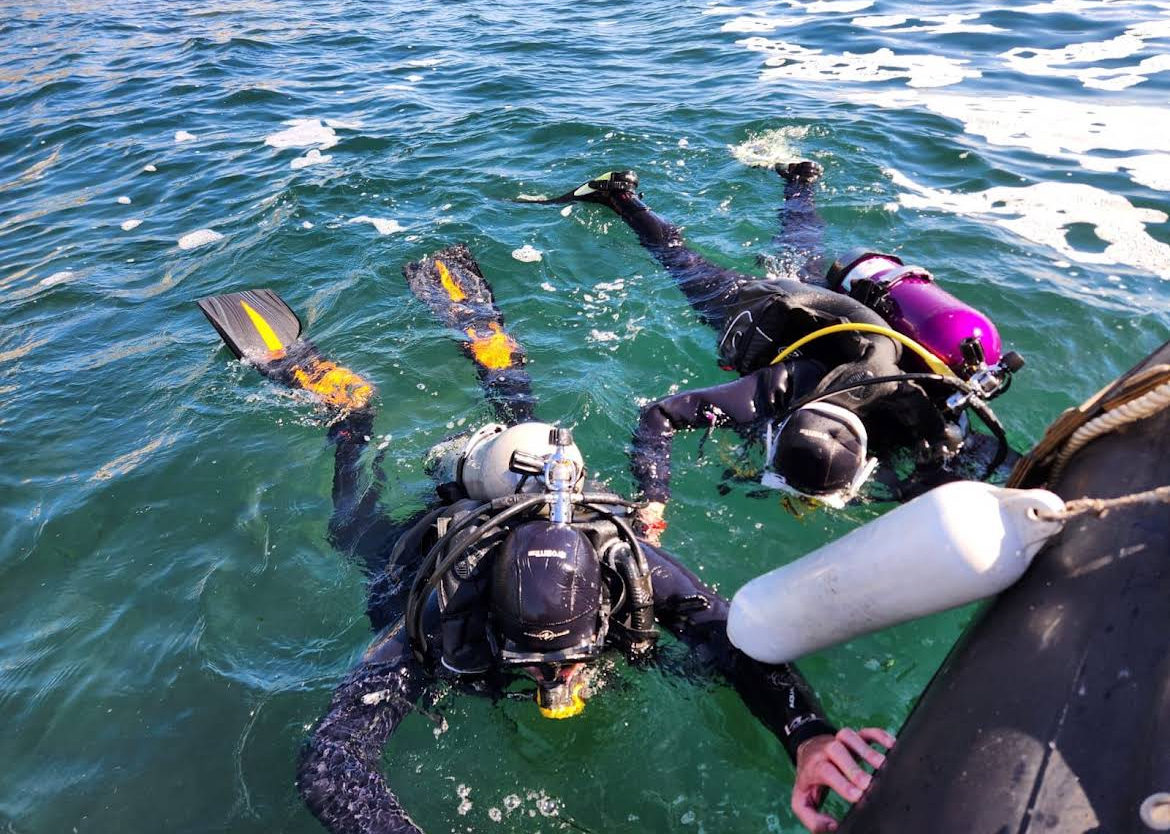 Tamarugo Dive