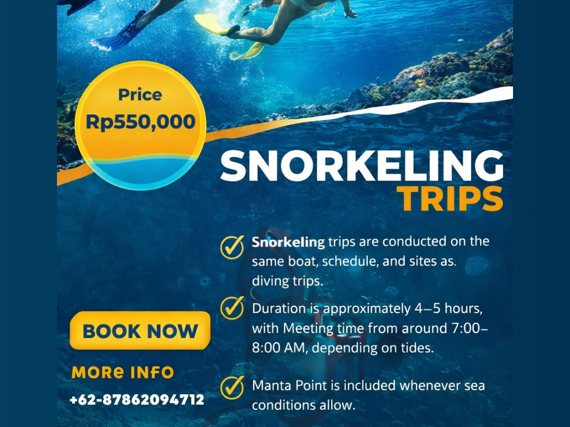 SNORKELING TRIP 2 Spot