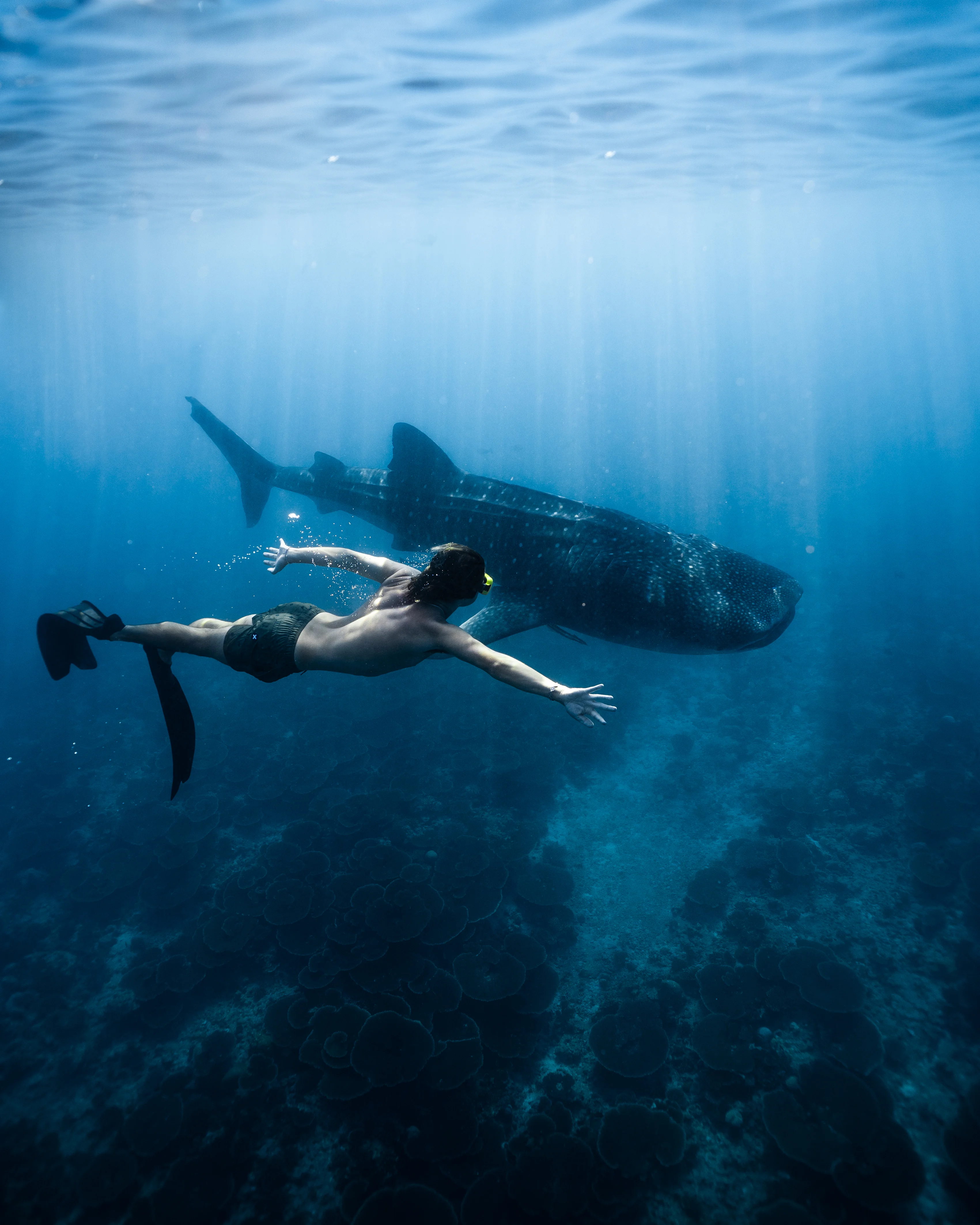 Two Islands - One Epic Adventure