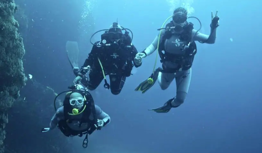 OPEN WATER DIVER