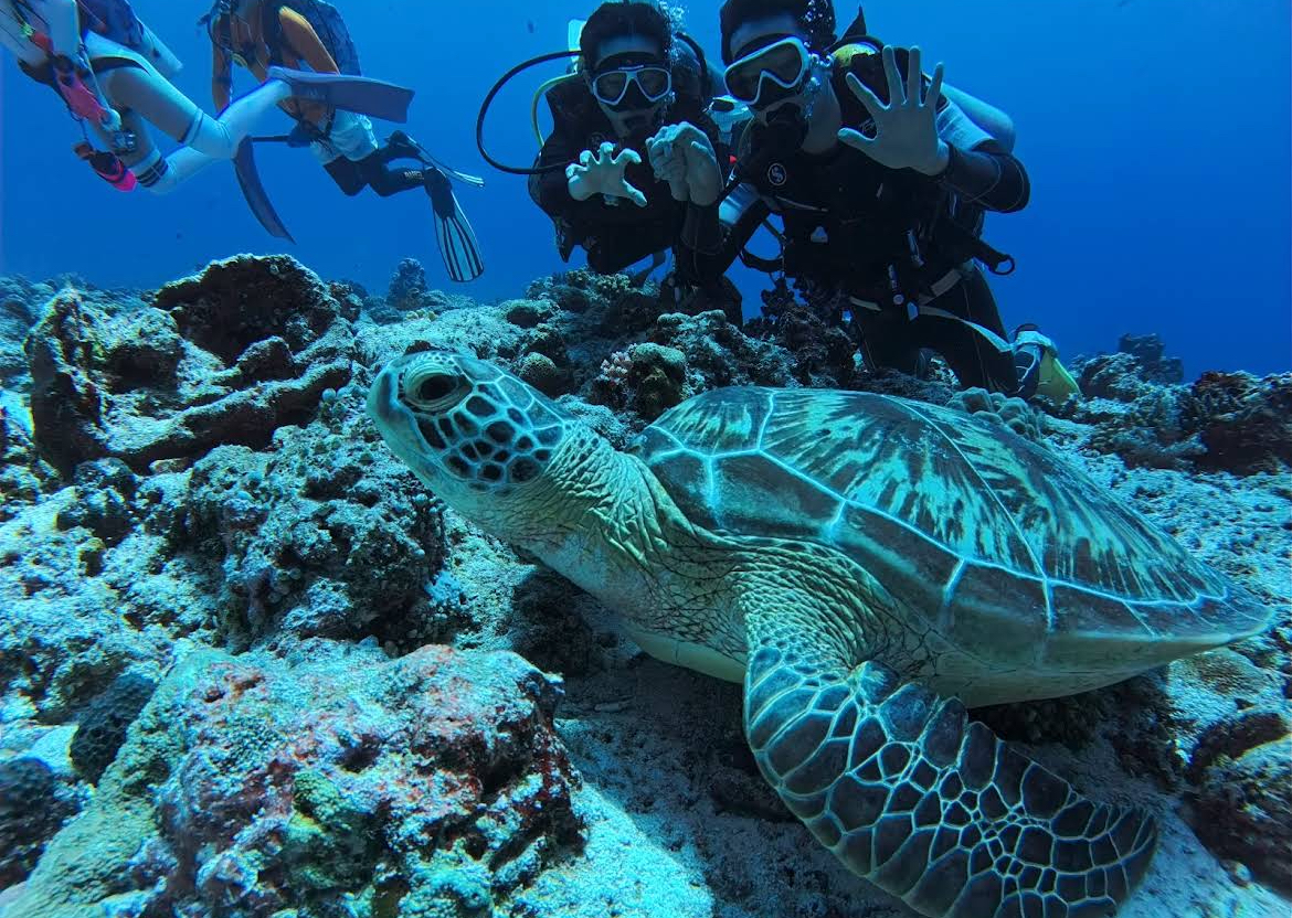 Discover Scuba Diving