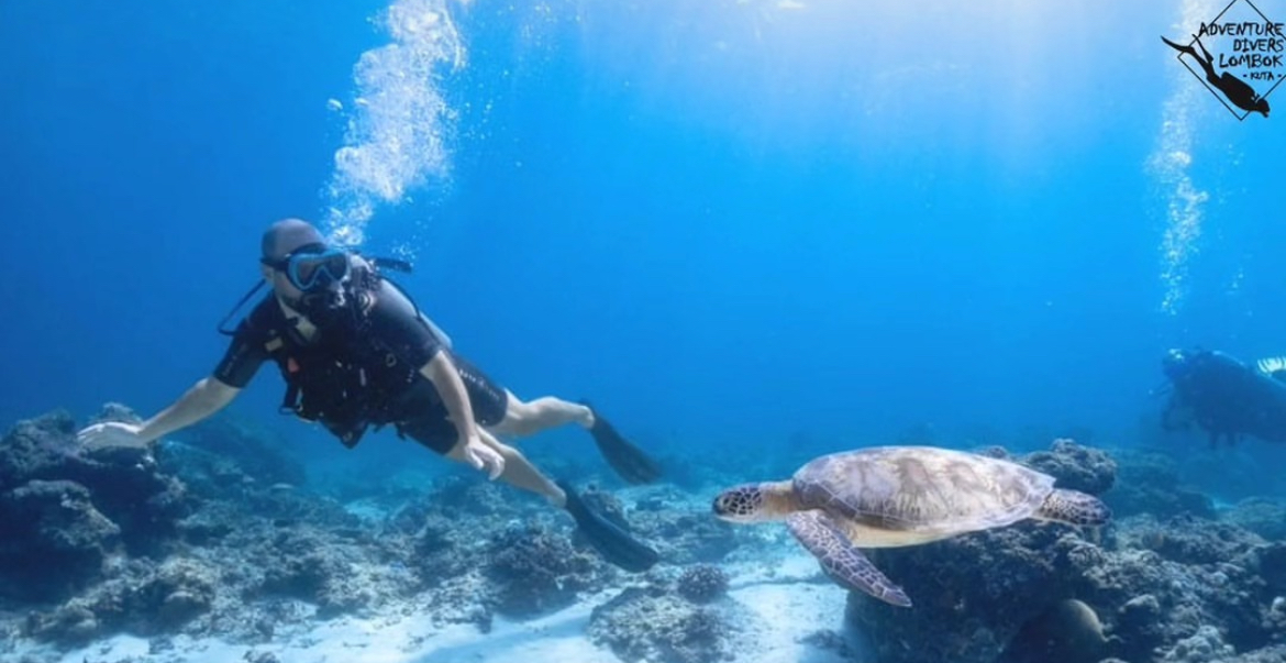 Scuba Diver