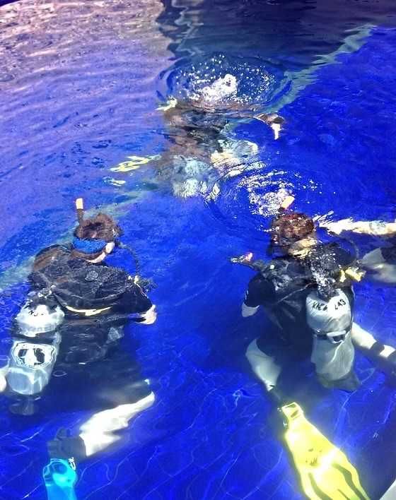 PADI Discover Scuba Diving