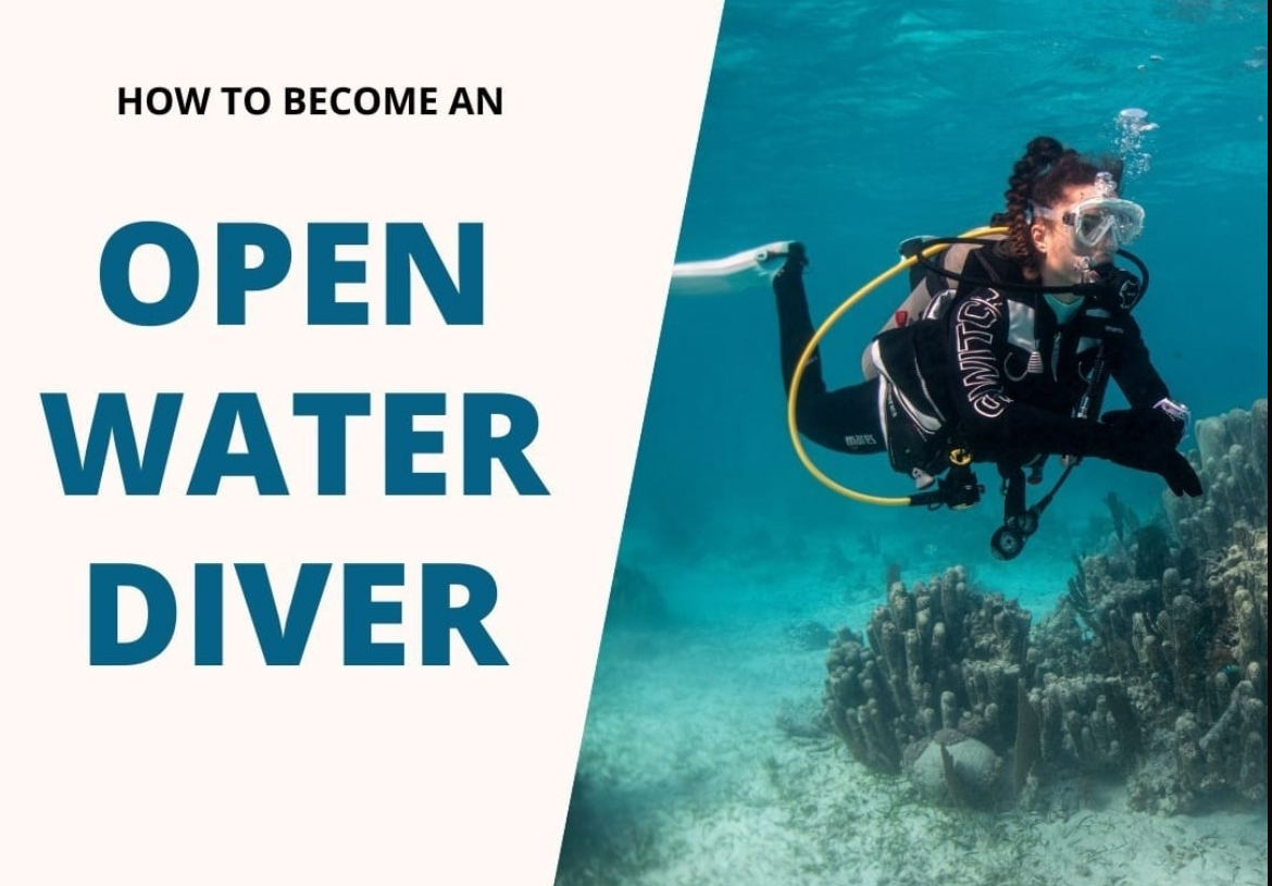 Open Water Diver