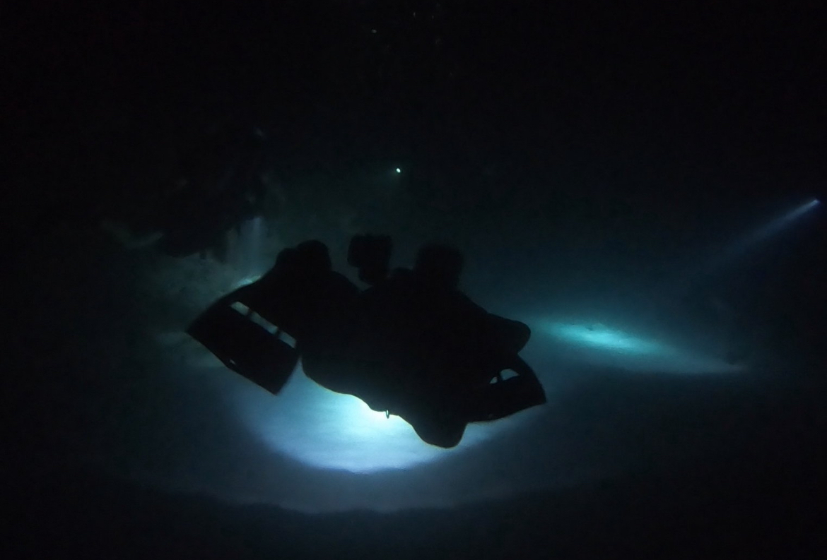 Buceo Nocturno