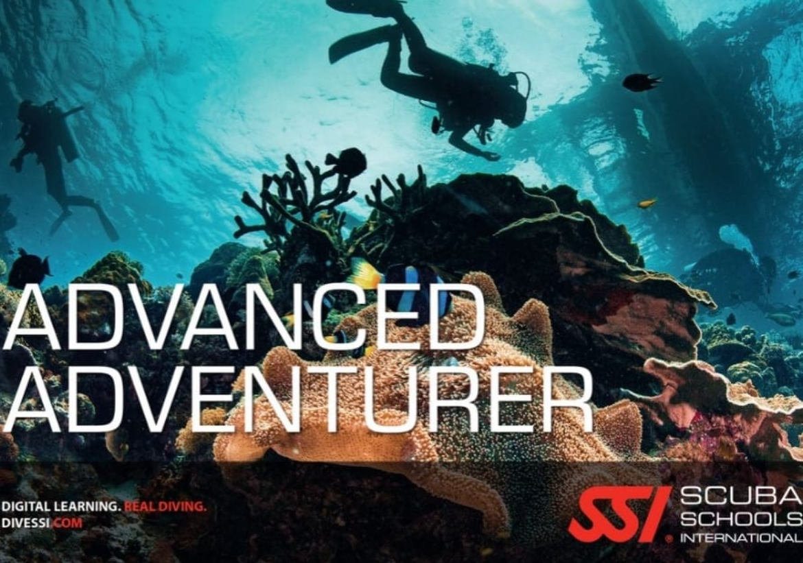 Advance Adventur