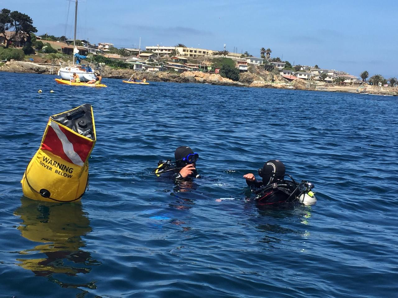 CURSO OPEN WATER DIVER.