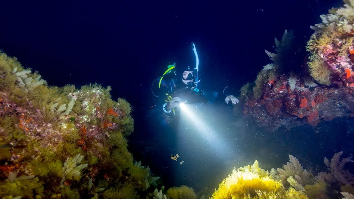 Advanced Open Water Diver