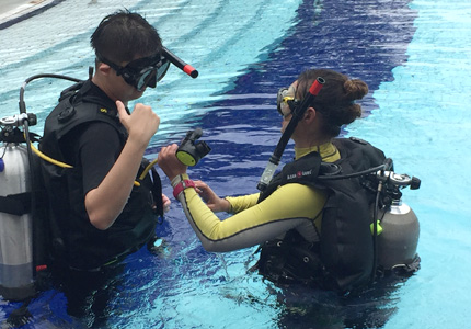 PADI OPEN WATER DIVING COURSE