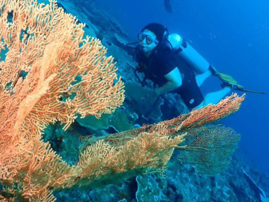 MIRI FUN DIVE (MIRI-SIBUTI CORAL REEFS NATIONAL PARK) - FOR CERT DIVER