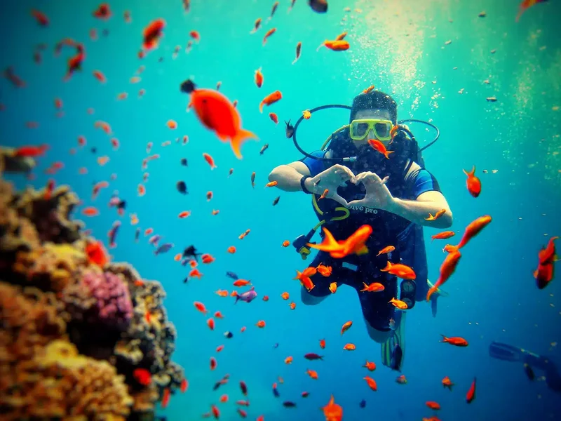 Discover Scuba Diving