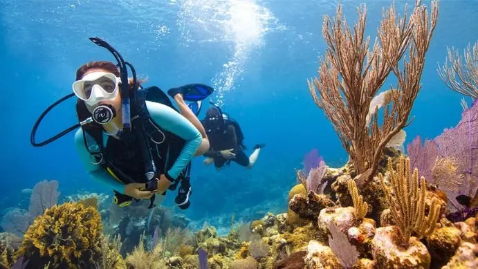 Junior Open Water Diver
