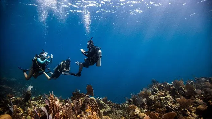 PADI Discover Scuba Diving (DSD)