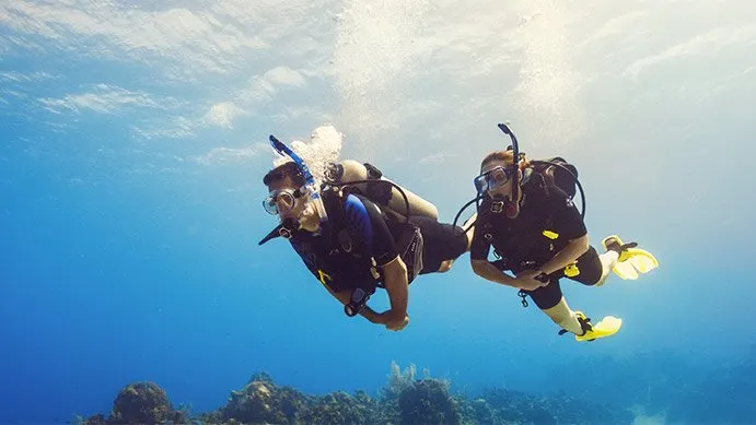Scuba Diver / Junior Scuba Diver