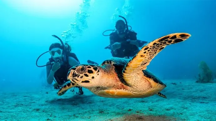 PADI Open Water Diver Course