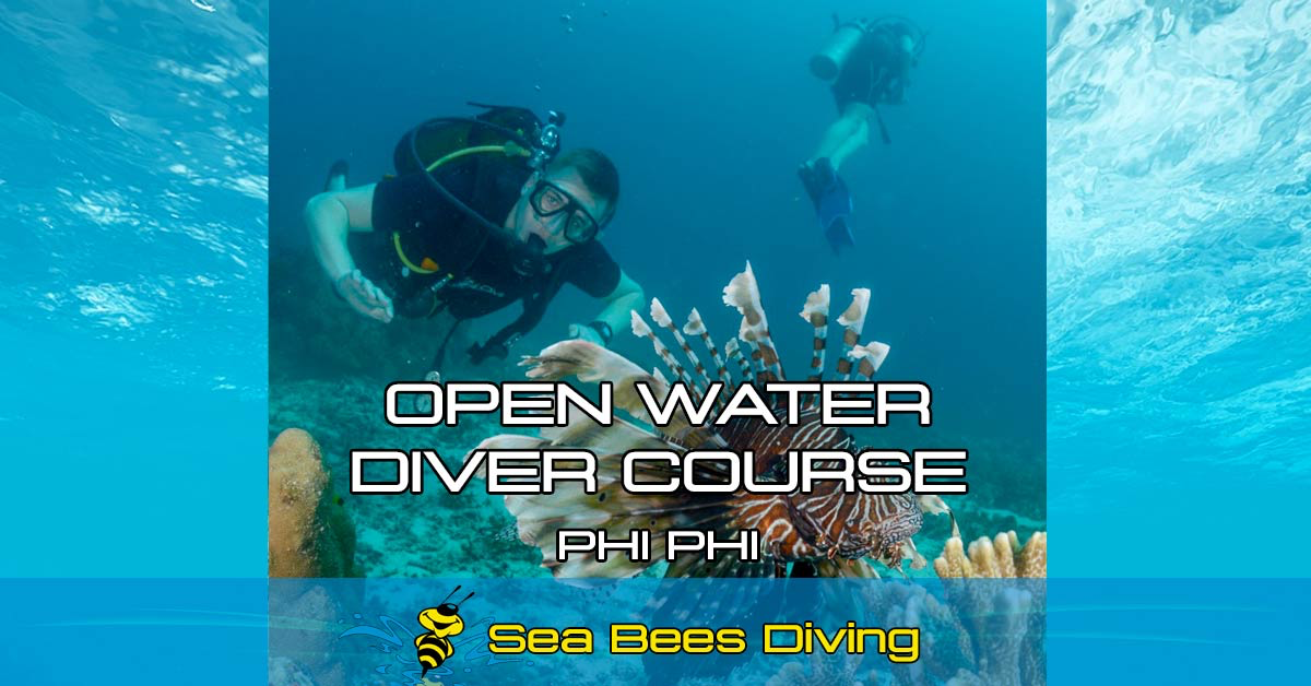 Phi Phi Island Open Water Diver Course