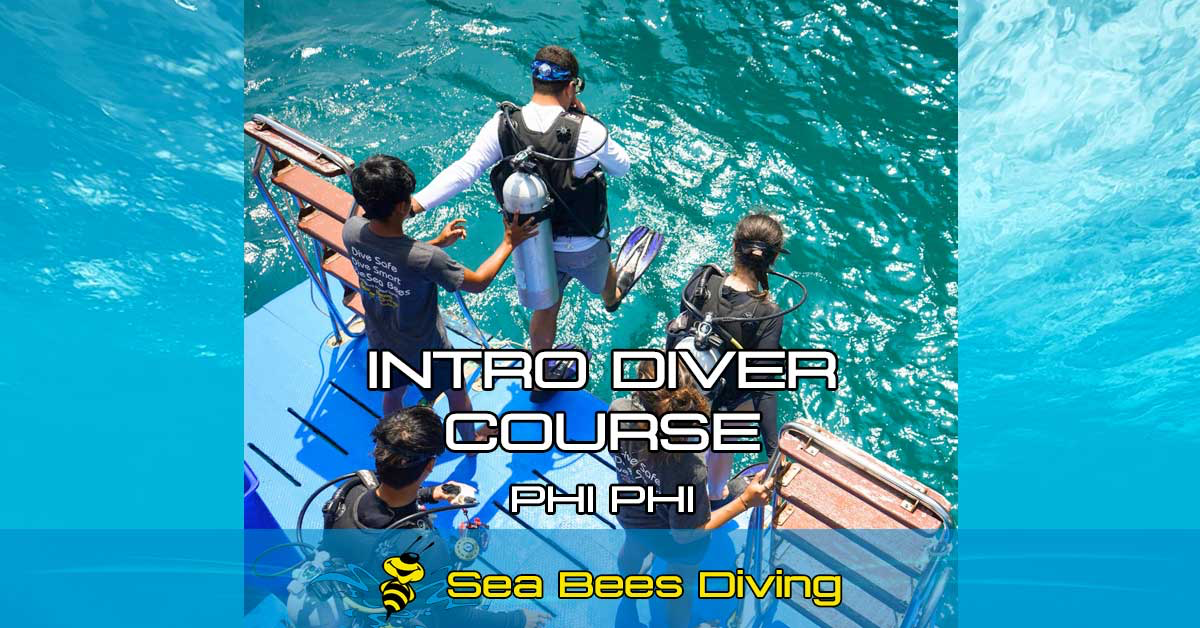 Intro Diving – 2 Dives – Phi Phi Island